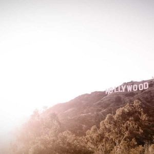 Meet your Posher, Donald